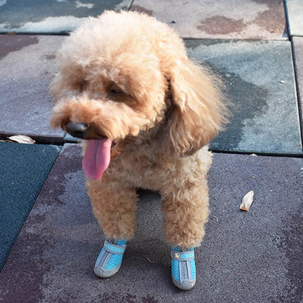 4Pcs Pet Shoes