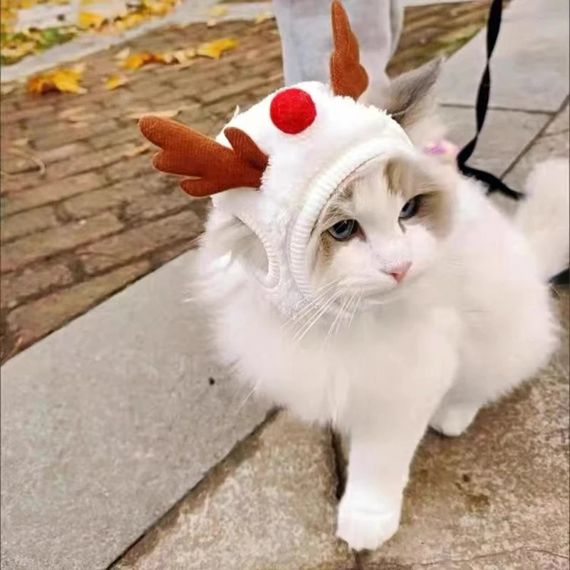 Kitty/Doggy Christmas Costume
