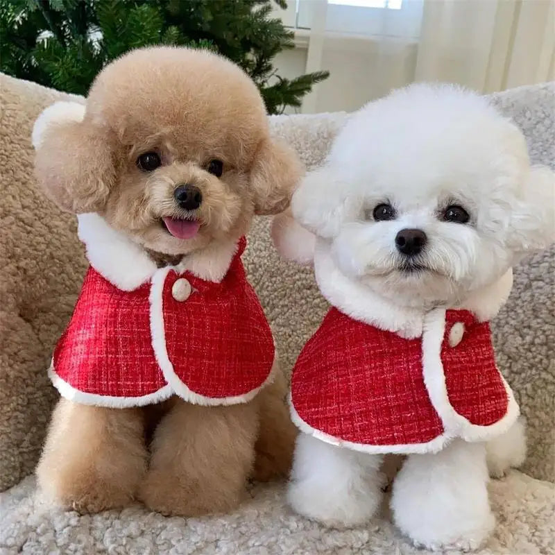 Doggy Christmas Costume