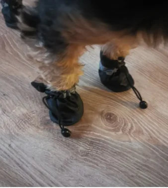 Waterproof Dog/Cat Shoes