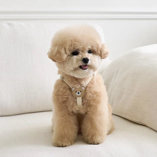 Pet Harness and Leash Set - Small