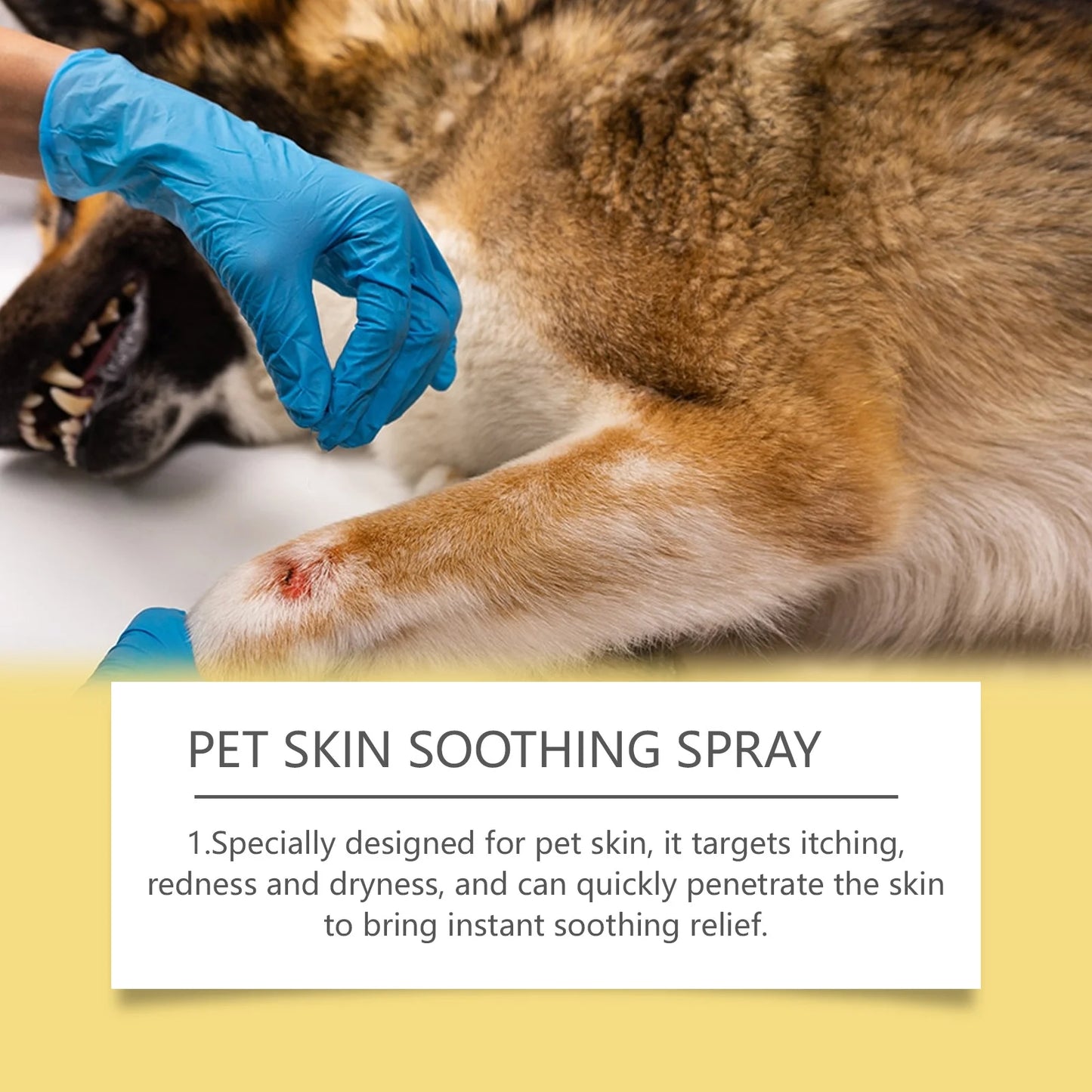 Flea Control Spray