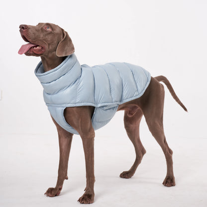 Paw-Dream Doggy Raincoat