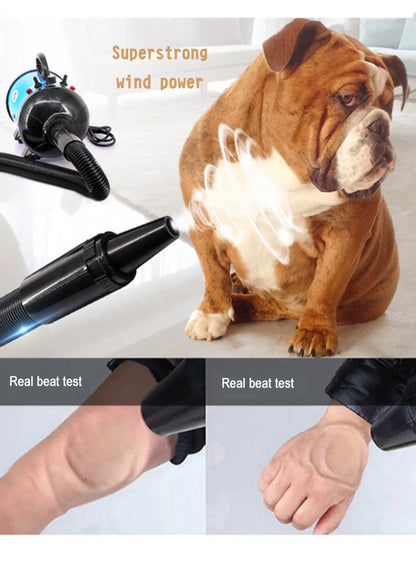 Dog Grooming Dryer