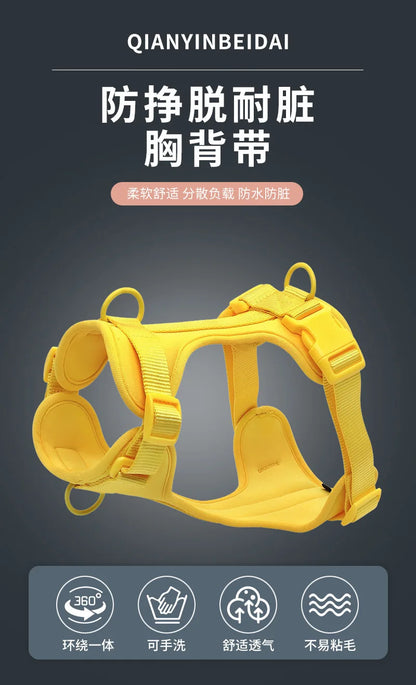 Dog Harness and Leash