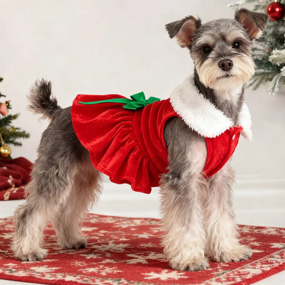 Doggy Christmas Dress