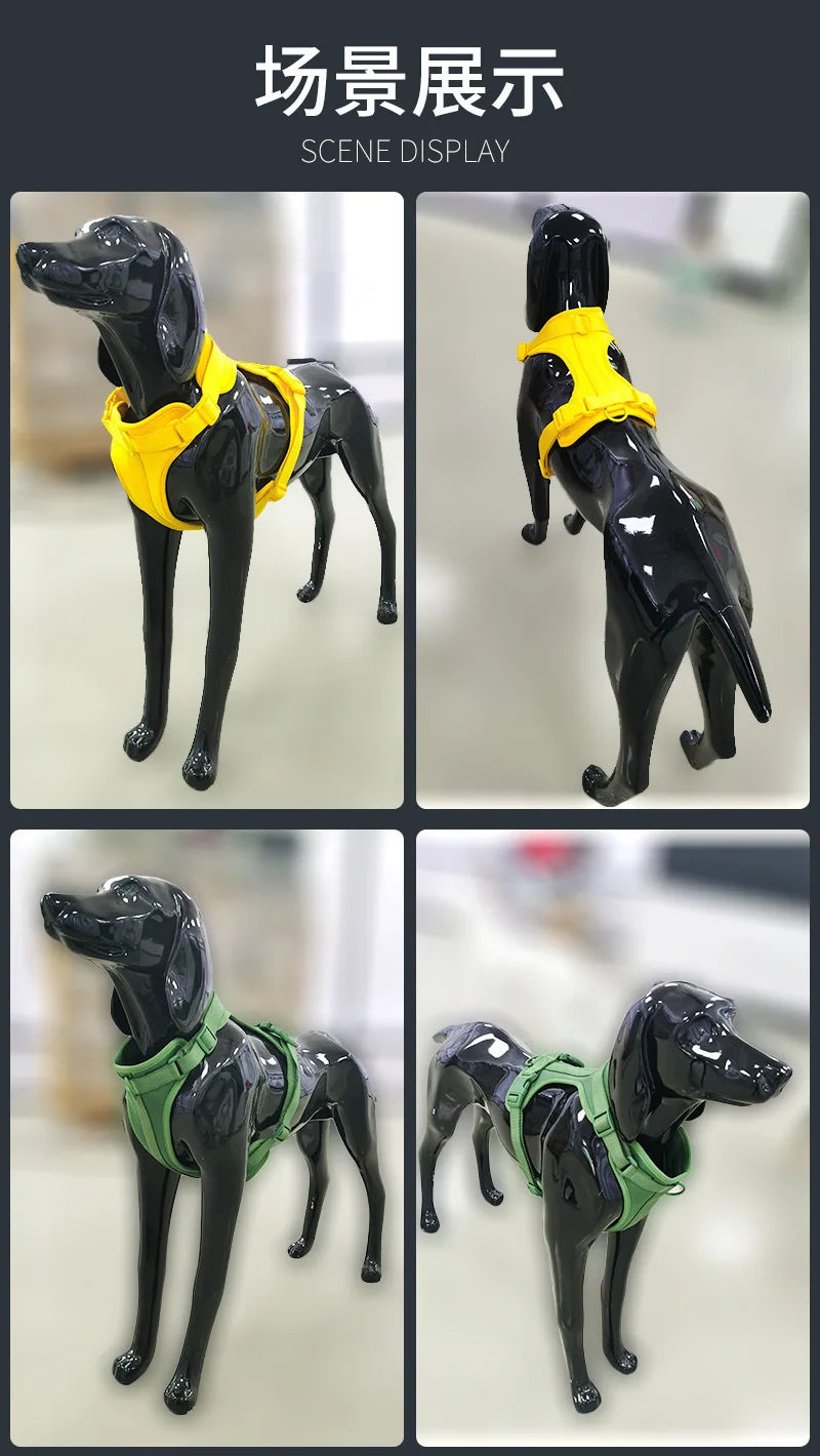 Dog Harness and Leash