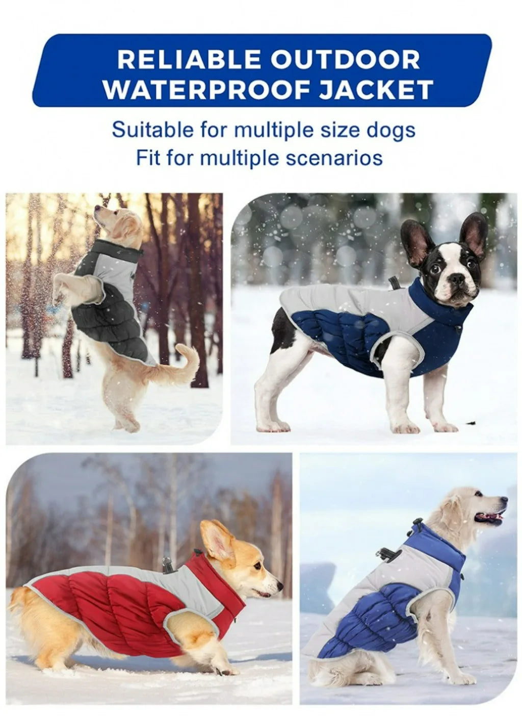 Premium Dog Jacket for Winter