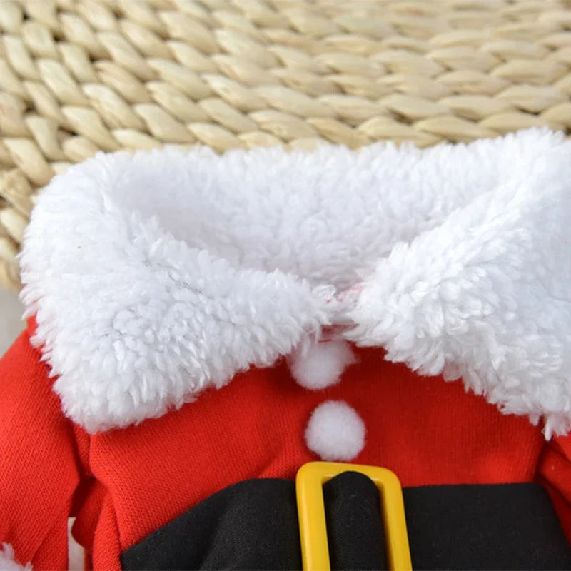 Funny Kitty Christmas Costume