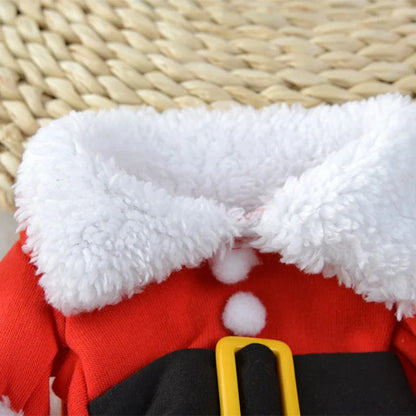 Christmas Cat Costume