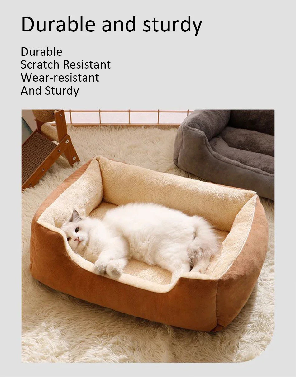 Cat/Pup Bed